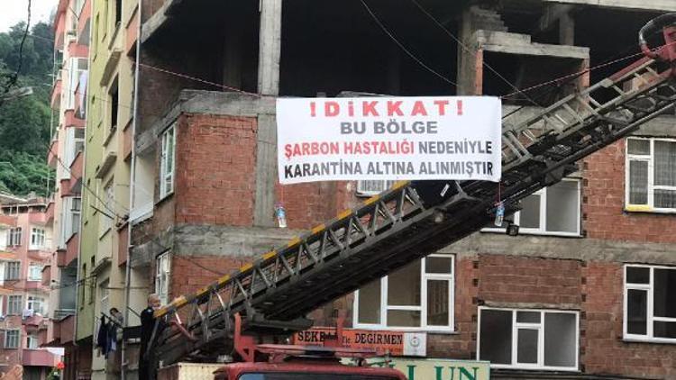 Kesilen büyükbaş şarbonlu çıktı, mahalle karantinaya alındı