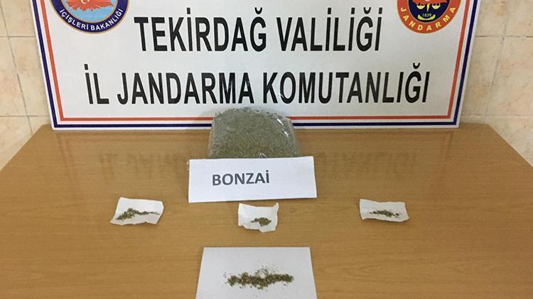 Tekirdağda, otomobilde 1 kilo bonzai bulundu