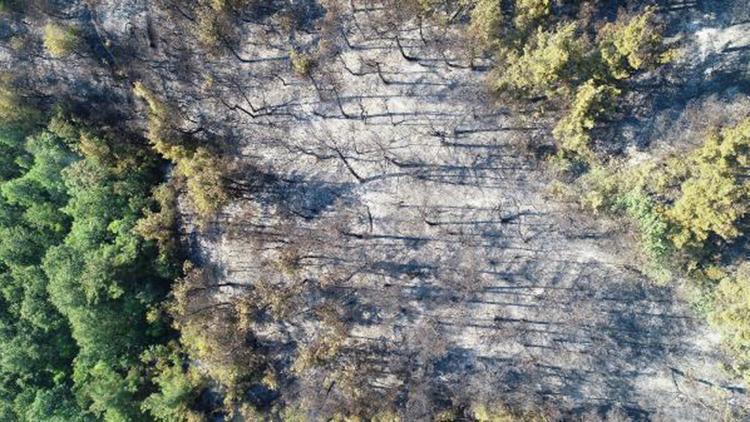 Bursada yanan 10 hektar ormanlık alan havadan görüntülendi