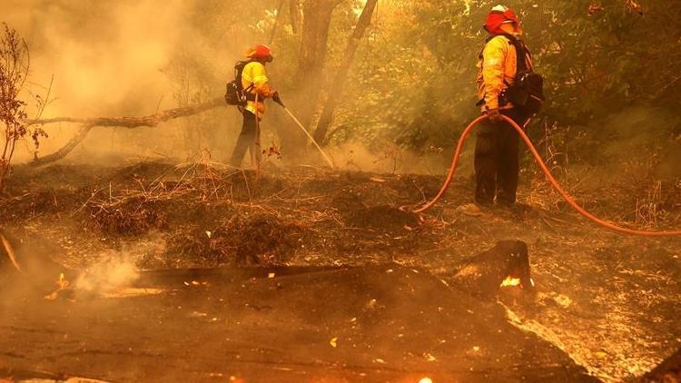 ABDde orman yangınlarına müdahale eden helikopter düştü, pilot öldü
