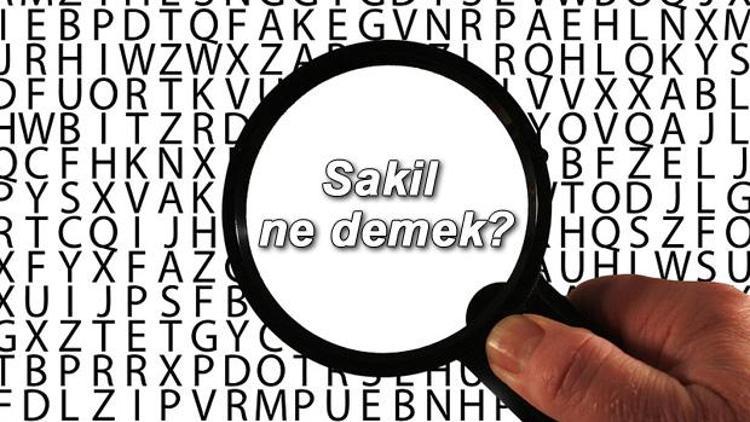 Sakil ne demek Sakil nedir Sakil TDK kelime anlamı