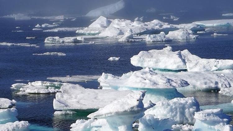 Grönlanddaki buz tabakasında 2019da rekor erime kaydedildi