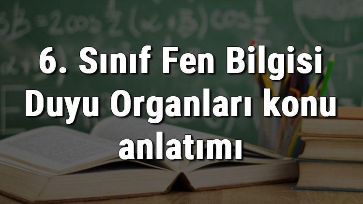 6. Sınıf Fen Bilgisi Duyu Organları konu anlatımı