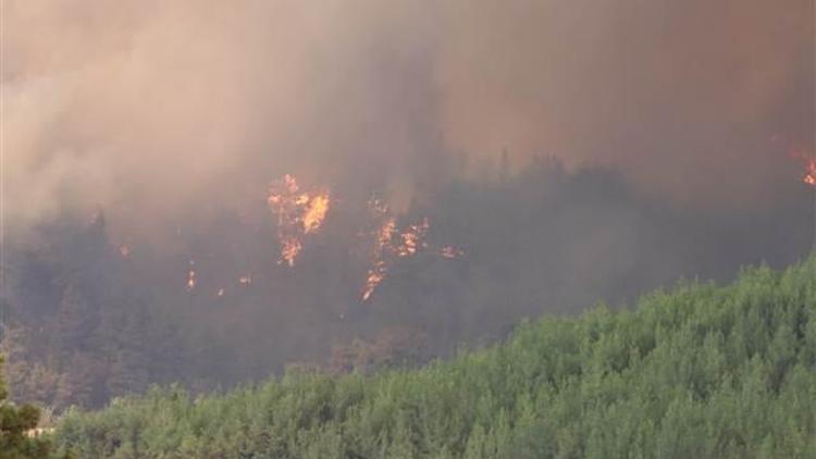 Adanada orman yangını Bazı evler boşaltıldı
