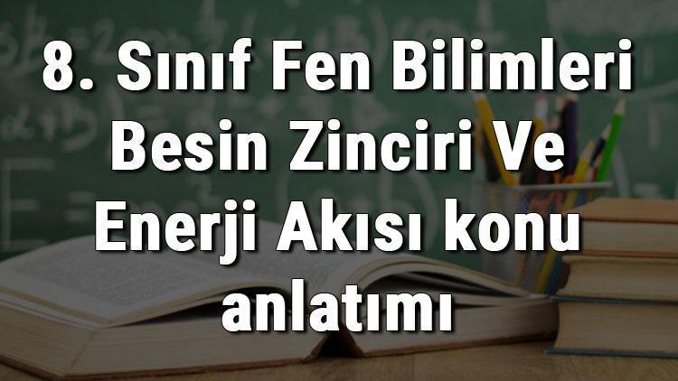 8. Sınıf Fen Bilimleri Besin Zinciri Ve Enerji Akışı konu anlatımı