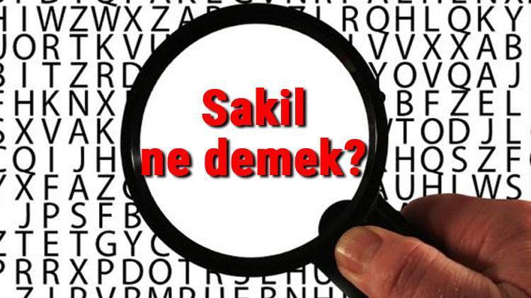 Sakil ne demek Sakil nedir Sakil TDK kelime anlamı