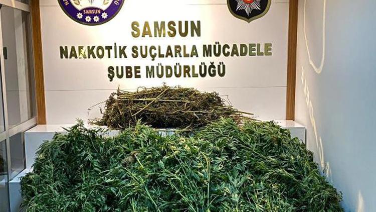 Samsunda köpek bakım çiftliğine uyuşturucu baskını