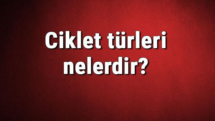 Ciklet türleri nelerdir Ciklet çeşitleri ve isimleri hakkında bilgiler