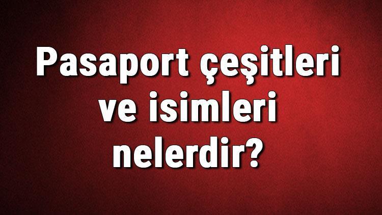 Pasaport çeşitleri ve isimleri nelerdir Pasaport çeşitleri hakkında bilgiler