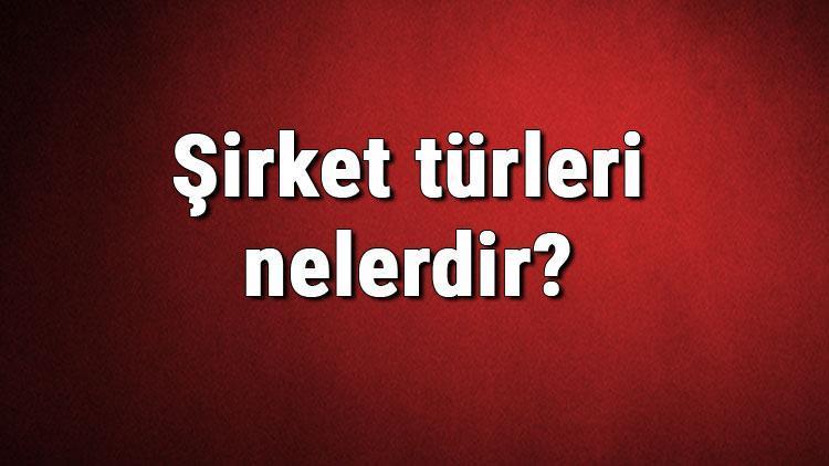 Şirket türleri nelerdir Şirket çeşitleri ve isimleri hakkında bilgiler