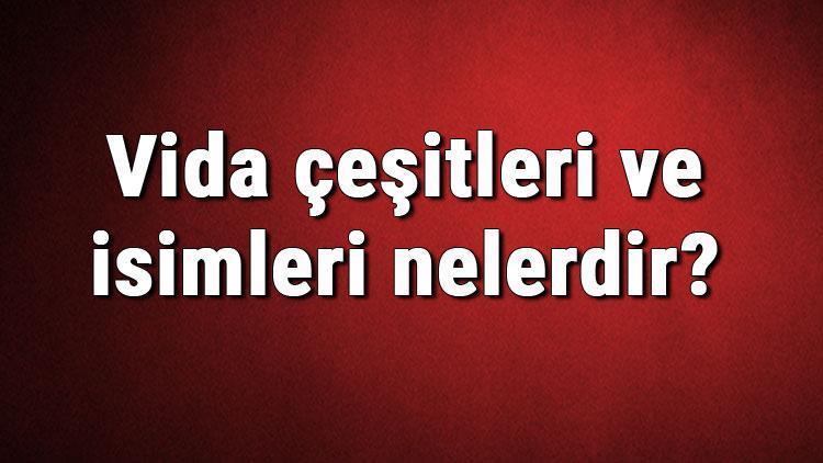 Vida çeşitleri ve isimleri nelerdir Vida çeşitleri hakkında bilgiler