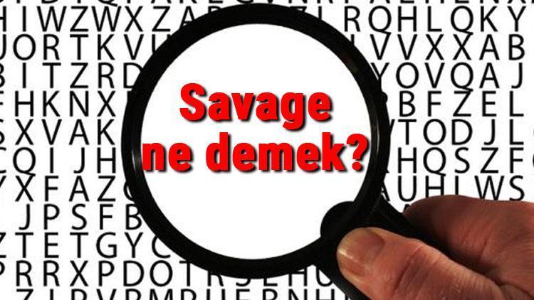 Savage ne demek İngilizce Savage kelimesinin Türkçe anlamı nedir