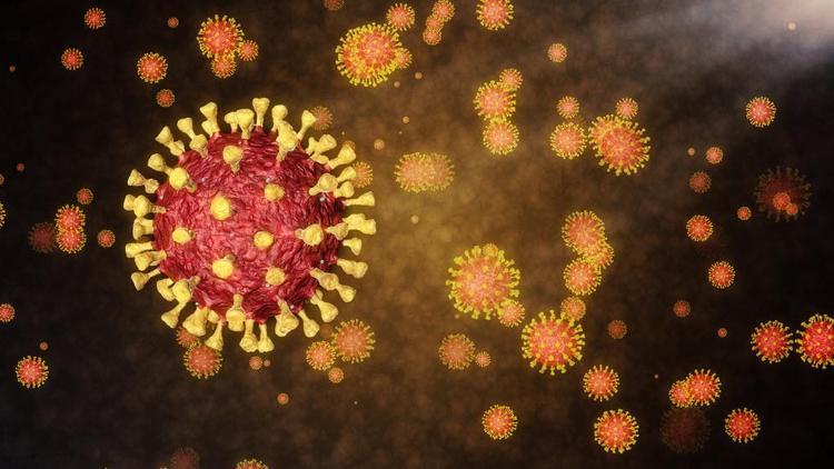 Koronavirüsün en çok mutasyona uğrayan genleri bulundu