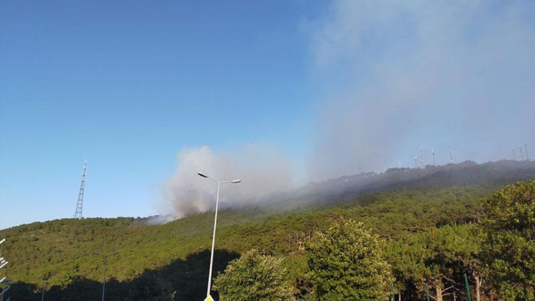 Son dakika haberi: Maltepede yine korkutan yangın