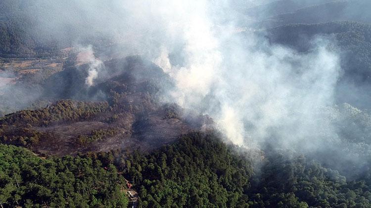 Zonguldak’ta ormanlık alanda büyük çaplı yangın