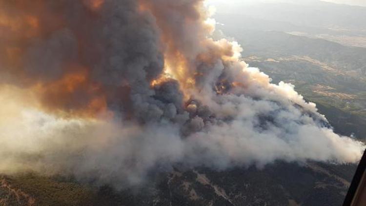 Son dakika... Ankarada orman yangını