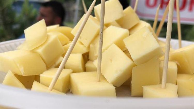 Güçlü bağışıklık sistemi için peynir önerisi