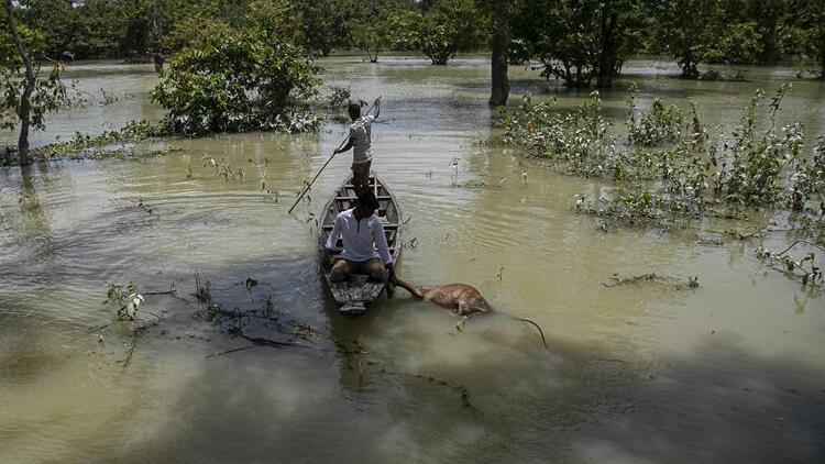 Bangladeşteki sel felaketinde korkunç bilanço yükseldi