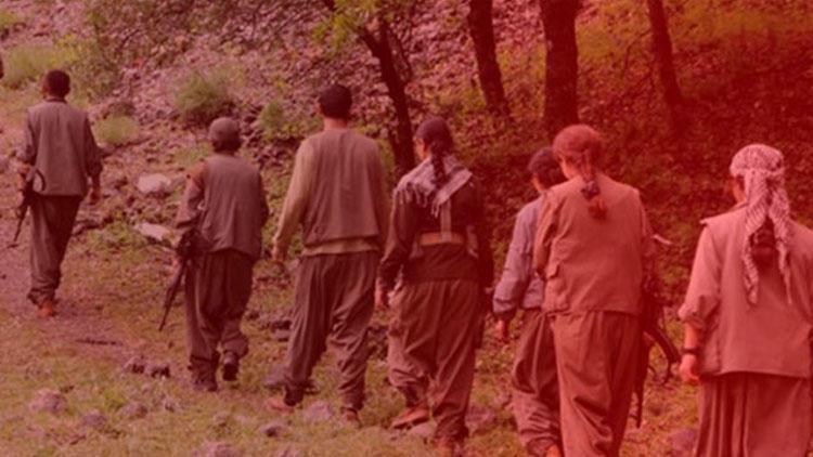 Terör örgütü YPG/PKK bir çocuğu daha kaçırdı
