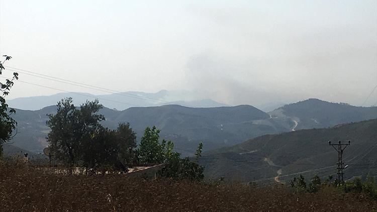 Hatayın Suriye sınırındaki orman yangını sürüyor
