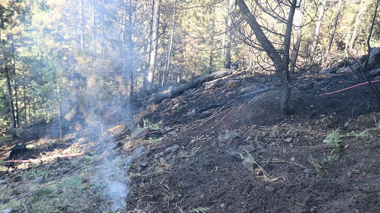 Bolu’da orman yangınında soğutma çalışması sürüyor