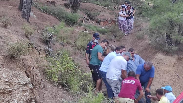 Orman işçisi, kestiği ağacın altında kalarak öldü