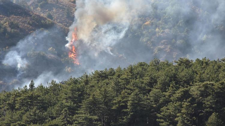 Soğuksu Milli Parkında 30 dönüm orman yandı