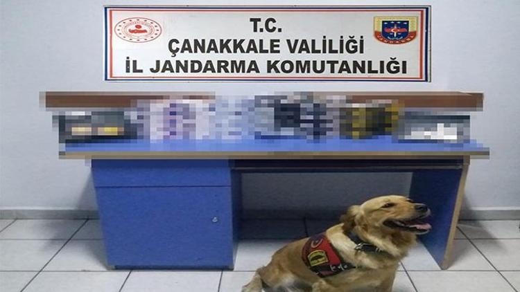 Narkotik köpeği Roket ile yapılan kaçak tütün operasyonunda, 1 gözaltı