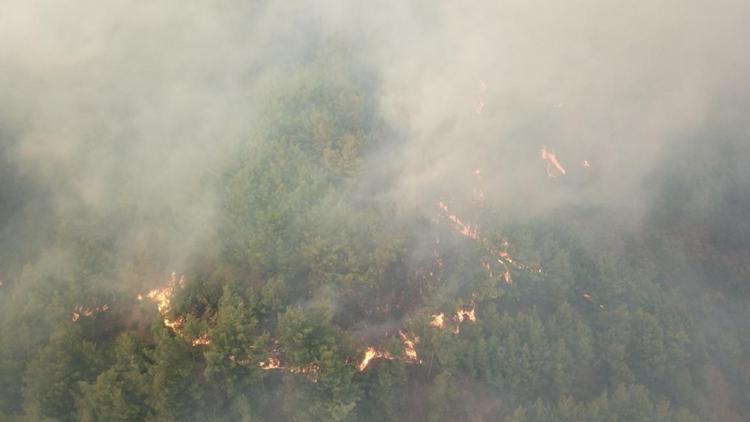 Hatayda orman yangını Bir köy daha boşaltıldı