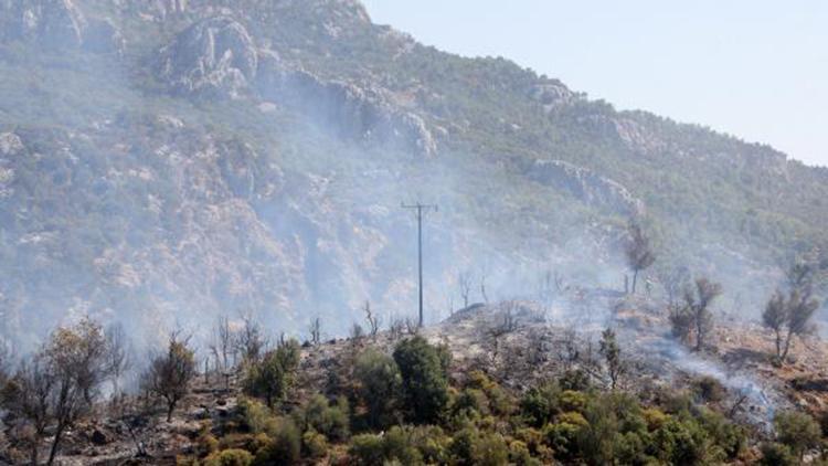 Serikte orman yangını; 5 hektar alan kül oldu