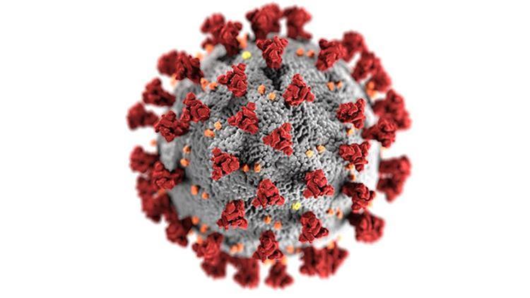 Koronavirüs Tedavisinde Kullanılan Ağrı Kesiciler Böbrek Hasarına Sebep Olabilir