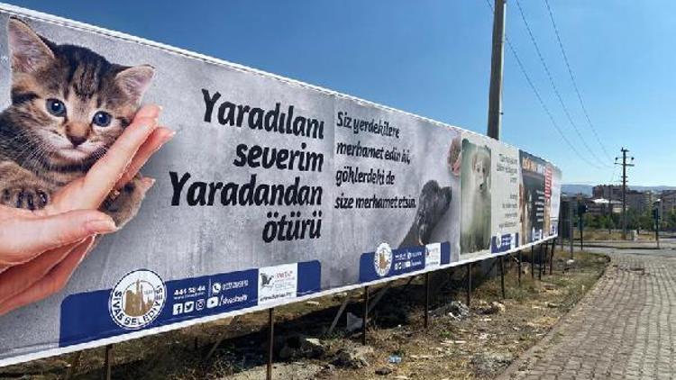 Sivas Belediyesinin hayvan hakları duyarlılığı