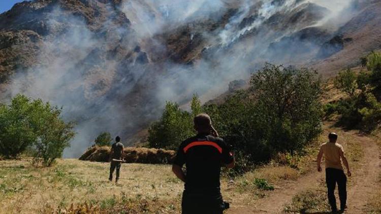 Ot yangını, jandarma ve orman ekipleri tarafından söndürüldü