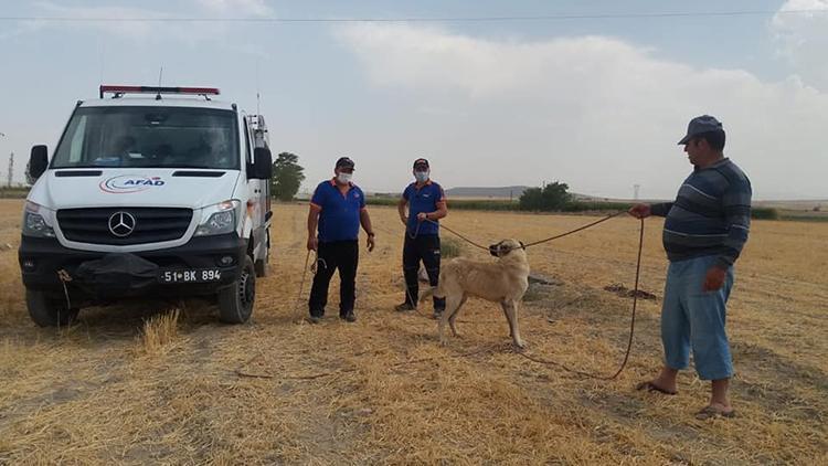 3 gün kuyuda mahsur kalan çoban köpeği kurtarıldı