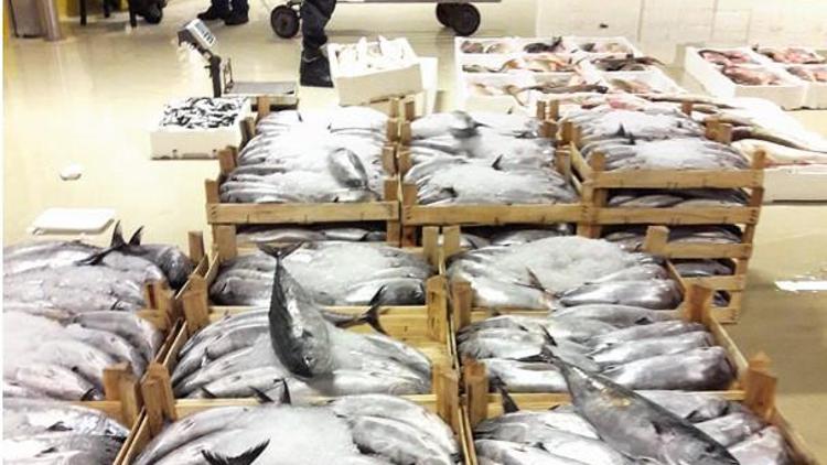 İstanbul’da 7 ton balığa el koyuldu