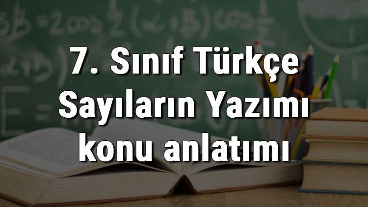 7. Sınıf Türkçe Sayıların Yazımı konu anlatımı