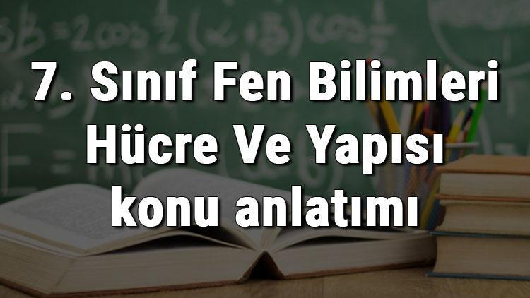 7. Sınıf Fen Bilimleri Hücre Ve Yapısı konu anlatımı