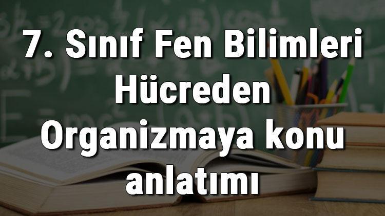 7. Sınıf Fen Bilimleri Hücreden Organizmaya konu anlatımı