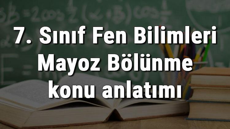 7. Sınıf Fen Bilimleri Mayoz Bölünme konu anlatımı