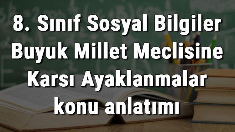 8. Sınıf Sosyal Bilgiler Büyük Millet Meclisine Karşı Ayaklanmalar konu anlatımı