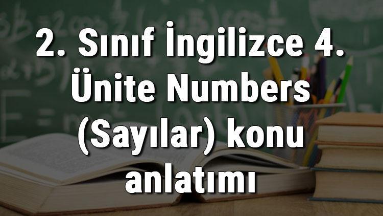 2. Sınıf İngilizce 4. Ünite Numbers (Sayılar) konu anlatımı