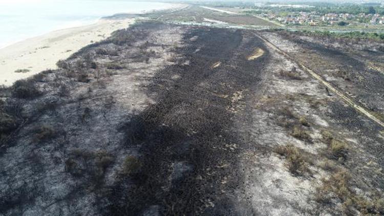 Kızılırmak Deltasındaki yangın, UNESCO sürecini etkilemeyecek