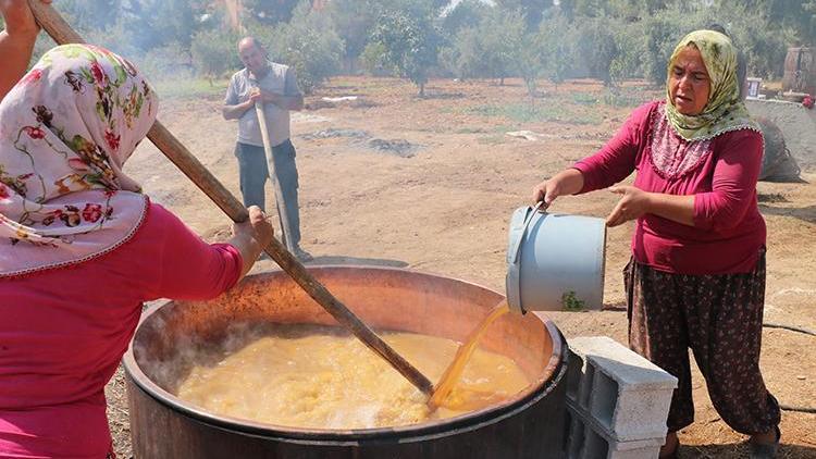 Üzümün bağlardan sofralara lezzetli yolculuğu 