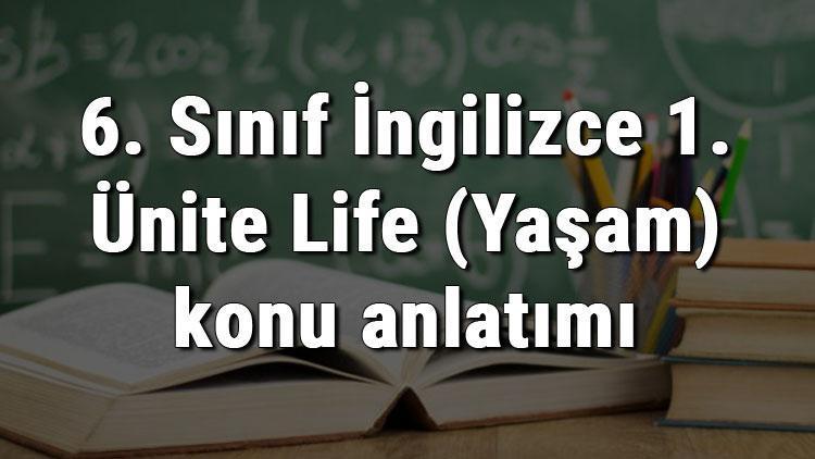 6. Sınıf İngilizce 1. Ünite Life (Yaşam) konu anlatımı