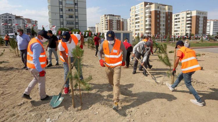 250 adet fidan toprakla buluştu