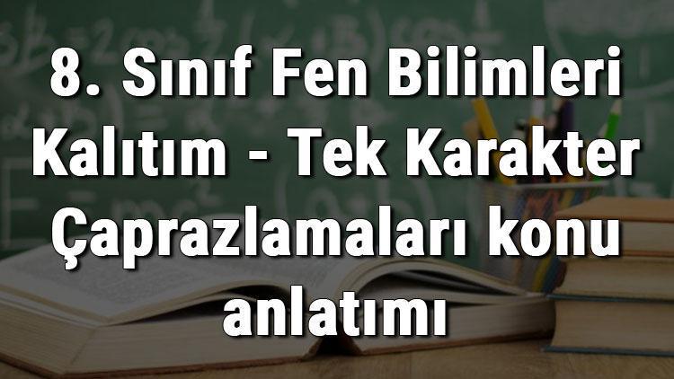 8. Sınıf Fen Bilimleri Kalıtım - Tek Karakter Çaprazlamaları konu anlatımı