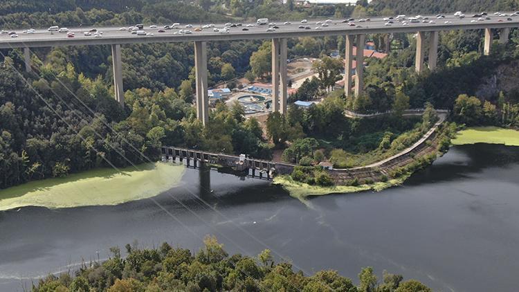 İstanbulda Elmalı Barajı yine yeşile büründü