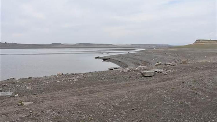 Toplu balık ölümlerinin yaşandığı Arpaçay Barajının kapakları kısmen kapatıldı