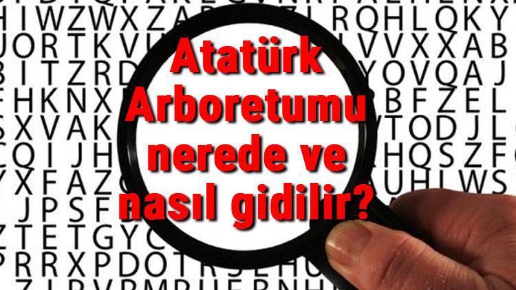 Atatürk Arboretumu nerede ve nasıl gidilir Atatürk Arboretumu iletişim bilgileri, yeme, içme ve giriş ücreti (2020)