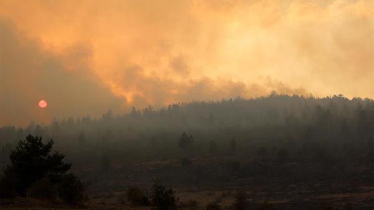 Boluda orman yangını kontrol altına alındı; 40 hektar zarar gördü